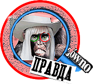 FAMA info.
